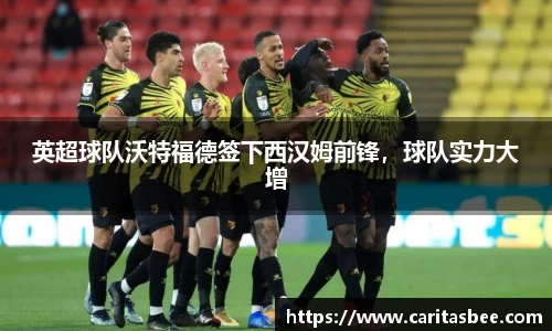 英超球队沃特福德签下西汉姆前锋，球队实力大增