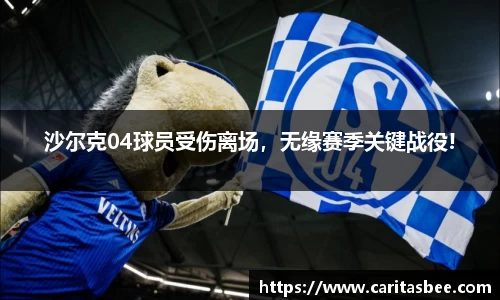 沙尔克04球员受伤离场，无缘赛季关键战役!