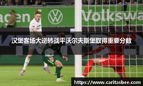 汉堡客场大逆转战平沃尔夫斯堡取得重要分数