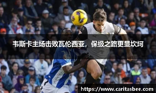 韦斯卡主场击败瓦伦西亚，保级之路更显坎坷