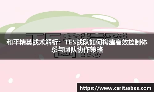 和平精英战术解析：TES战队如何构建高效控制体系与团队协作策略