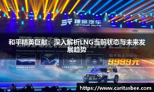 和平精英巨献：深入解析LNG当前状态与未来发展趋势