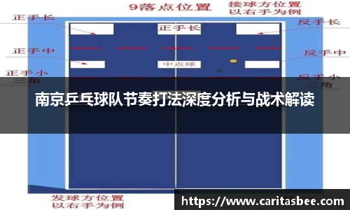 南京乒乓球队节奏打法深度分析与战术解读