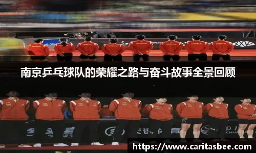 南京乒乓球队的荣耀之路与奋斗故事全景回顾