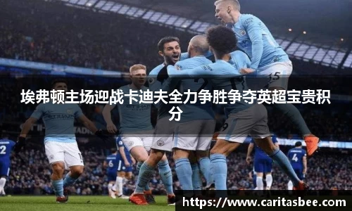埃弗顿主场迎战卡迪夫全力争胜争夺英超宝贵积分