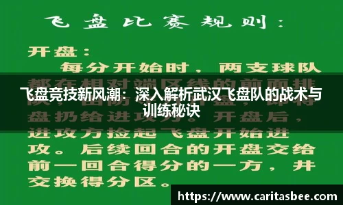 飞盘竞技新风潮：深入解析武汉飞盘队的战术与训练秘诀