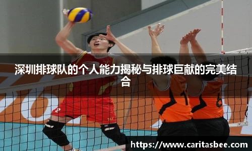 深圳排球队的个人能力揭秘与排球巨献的完美结合