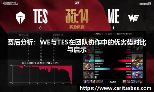 赛后分析：WE与TES在团队协作中的优劣势对比与启示