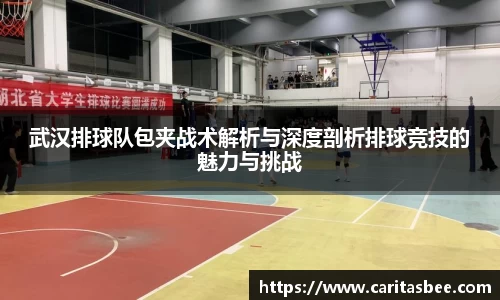 武汉排球队包夹战术解析与深度剖析排球竞技的魅力与挑战