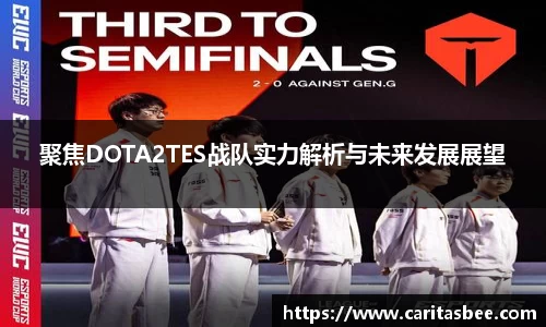 聚焦DOTA2TES战队实力解析与未来发展展望